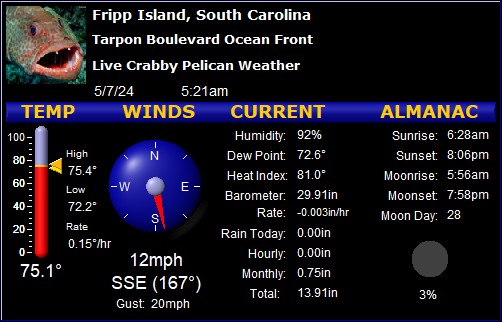 Live Fripp Island Weather